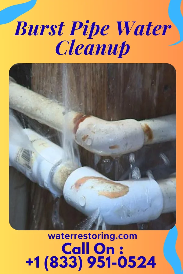 Burst Pipe Water Cleanup in DuBois, PA