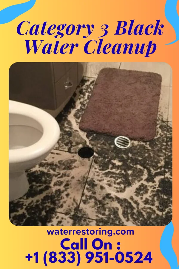 Category 3 Black Water Cleanup in DuBois, PA