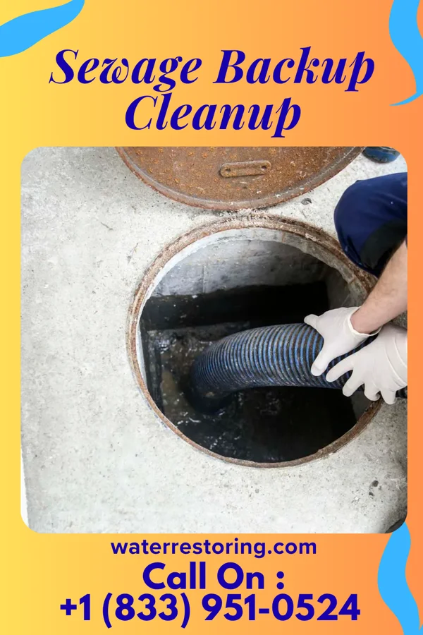 Sewage Backup Cleanup in DuBois, PA