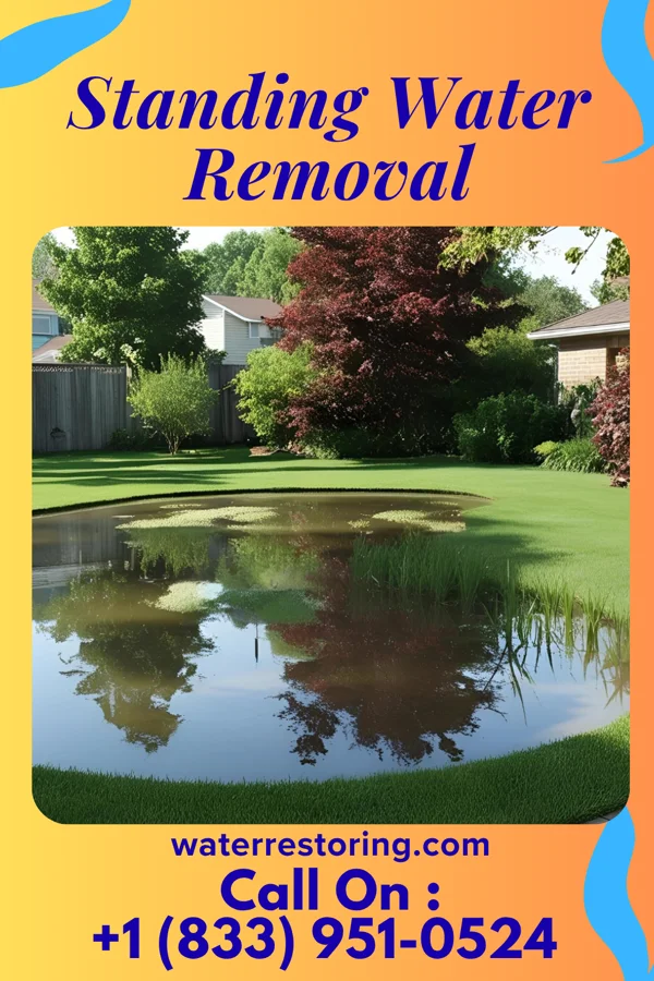 Standing Water Removal in DuBois, PA